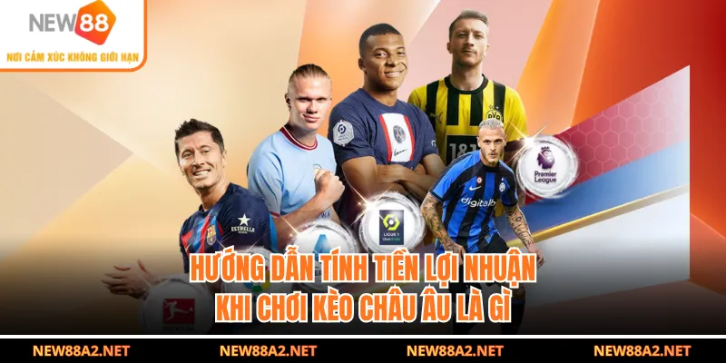 Hướng dẫn tính tiền lợi nhuận khi chơi kèo châu Âu là gì