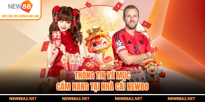 Thông tin về mục cẩm nang tại nhà cái NEW88